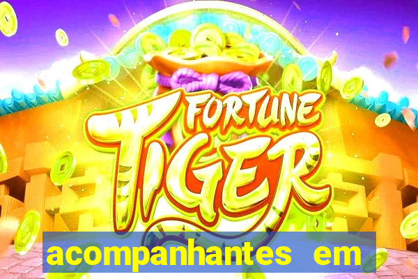 acompanhantes em porto seguro